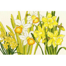 XBD10 Daffodil Blooms "Нарцисс цветет" Bothy Threads