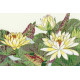 XBD12 Water Lily Blooms "Цветет кувшинка" Bothy Threads