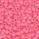Frosted Seed Beads (60161-65270)